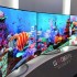 oled1 16 10 15 70x70 - OLED: Corea chiede collaborazione tra Samsung e LG