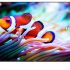 hisense 75m7900 evi 02 05 2016 70x70 - Hisense 75M7900: TV LCD 75" Ultra HD con HDR